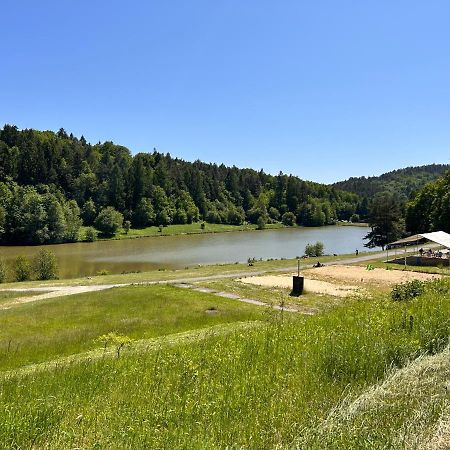 Apartman Na Kraji Lesa Všemina Kültér fotó
