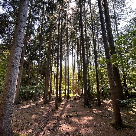 Apartman Na Kraji Lesa Všemina Kültér fotó
