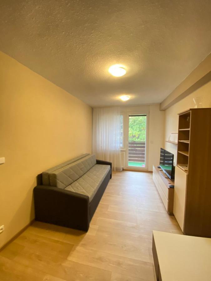 Apartman Na Kraji Lesa Všemina Kültér fotó