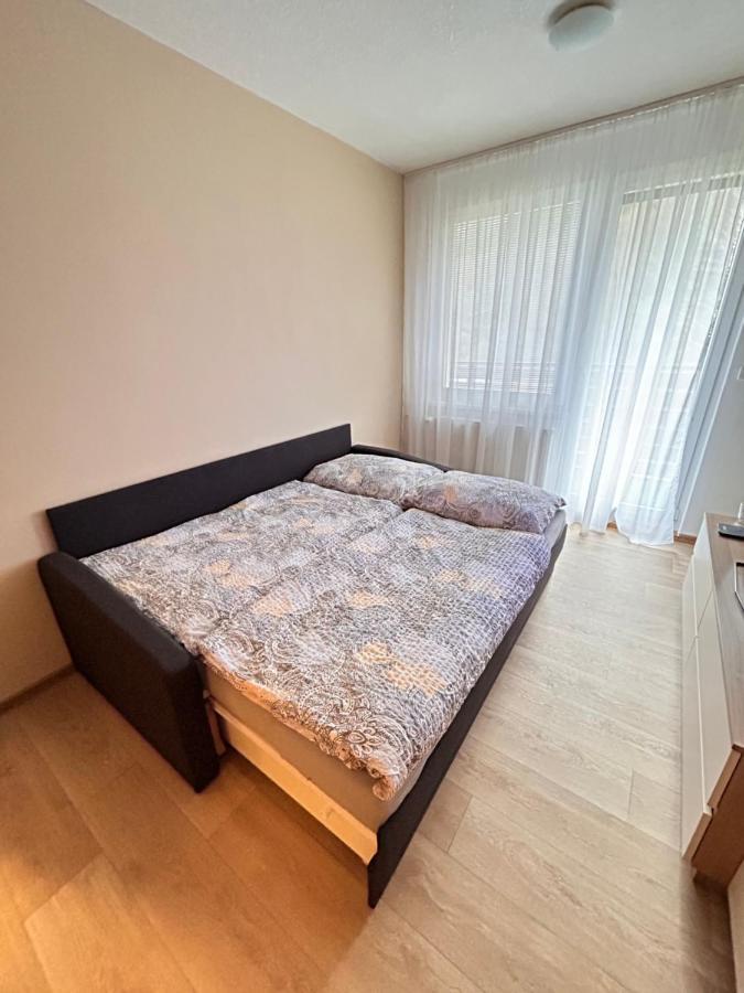 Apartman Na Kraji Lesa Všemina Kültér fotó